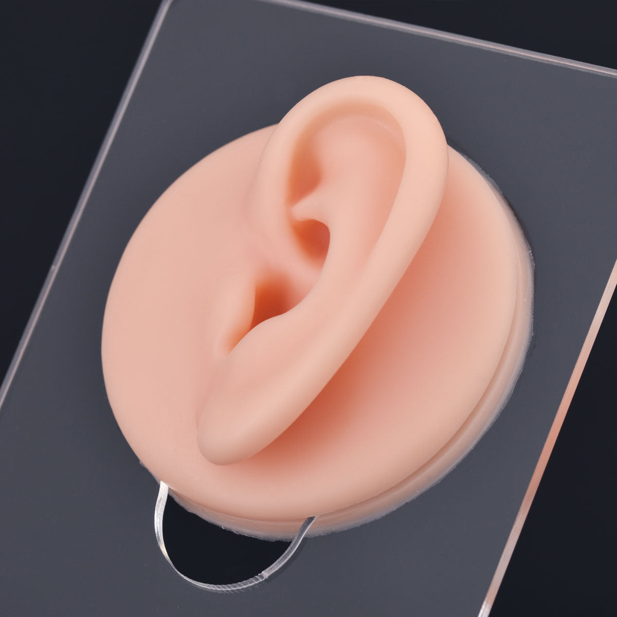 Silikonowy model ucha do ćwiczeń piercingu