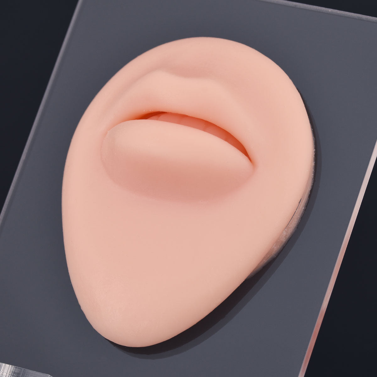 Silikonowy model ust do ćwiczeń piercingu